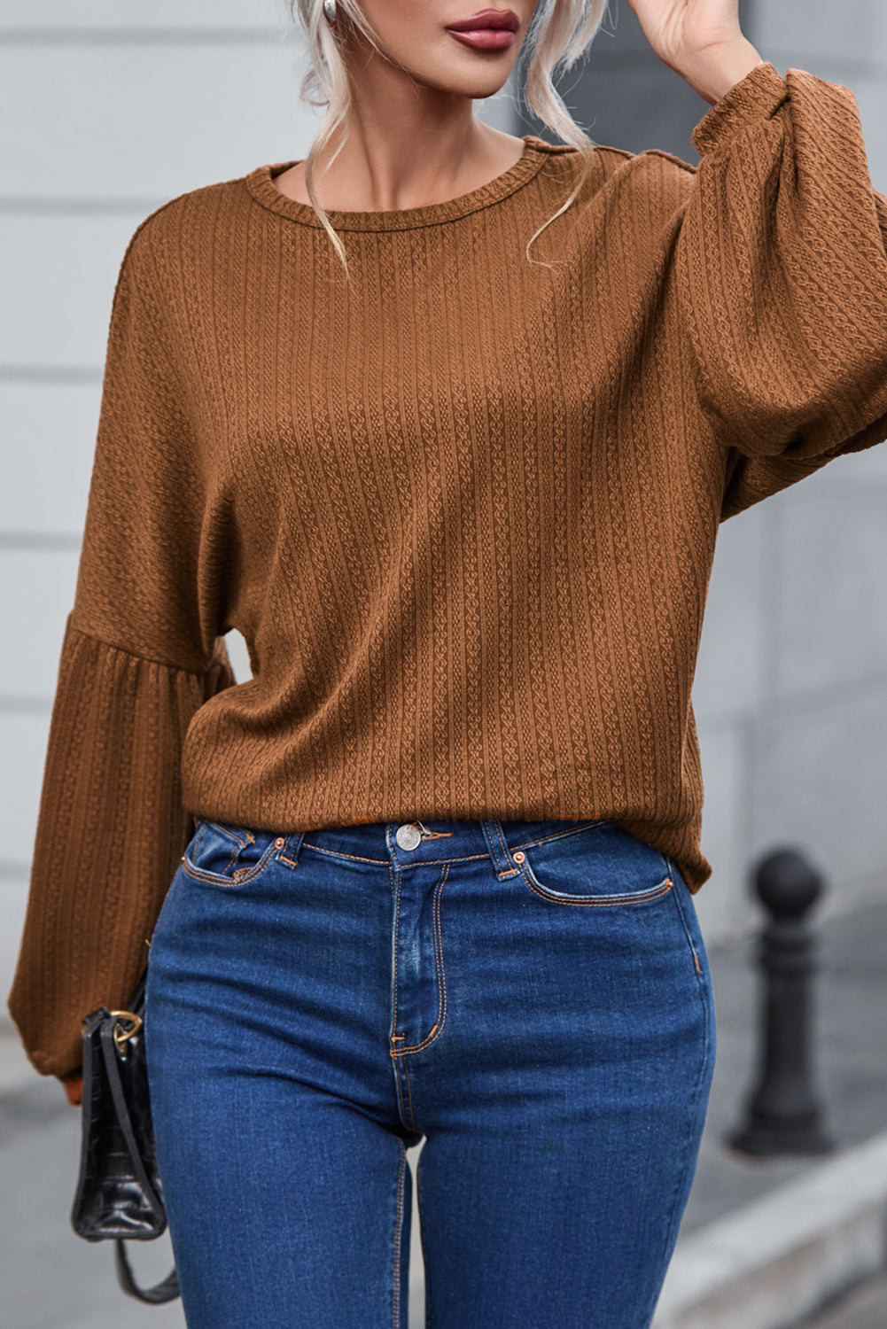 Brown Faux Knit Jacquard Puffy Long Sleeve Top
