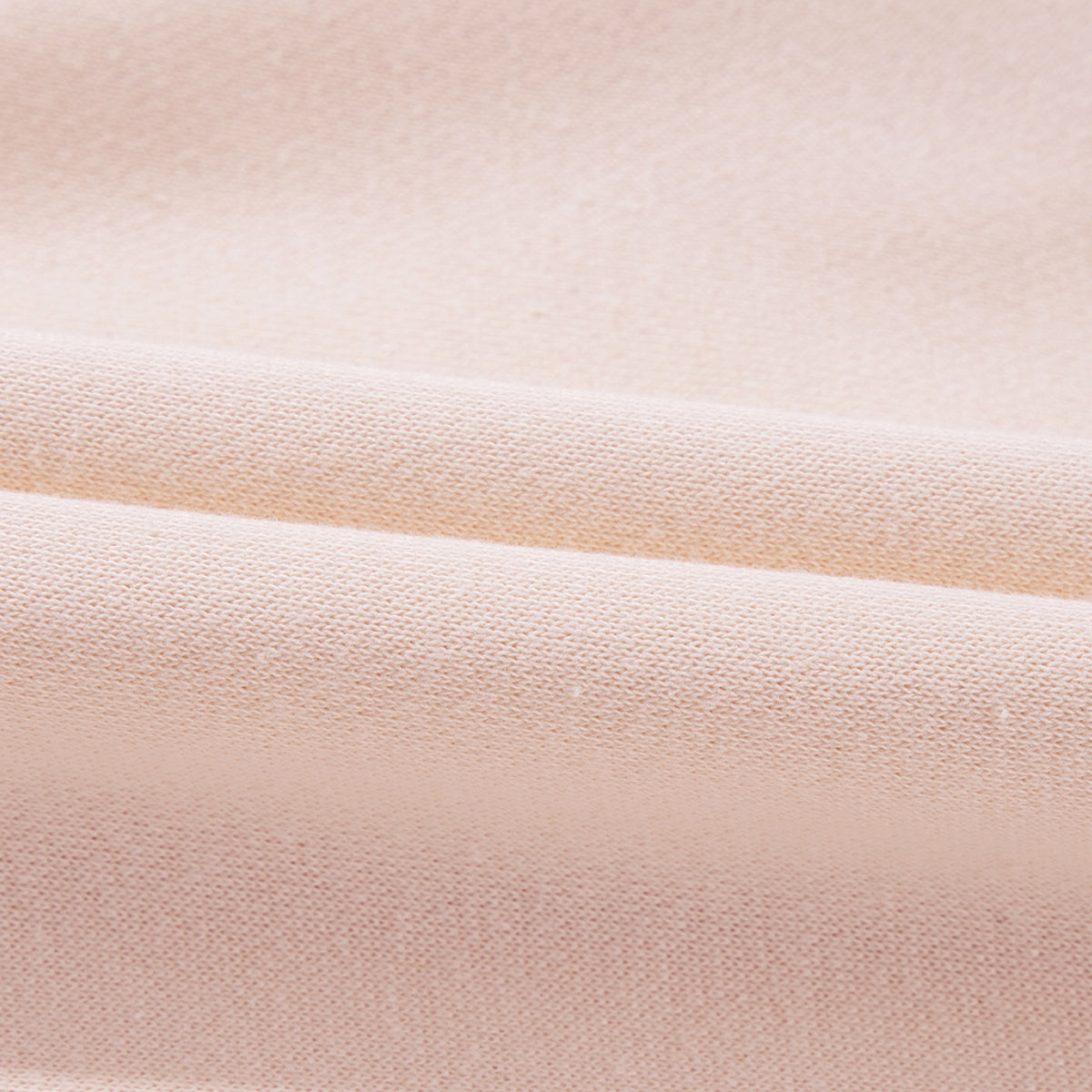 Parchment Embroidered Bow Lantern Sleeve Oversized Pullover Sweatshirt